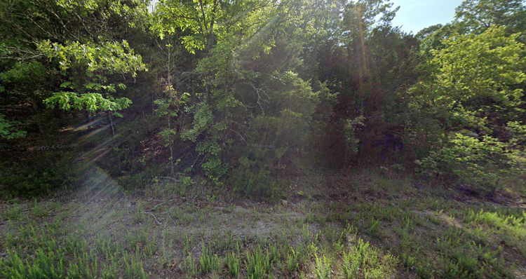 Unlock New Goals on 0.3 Acres in AR only $75 Mo