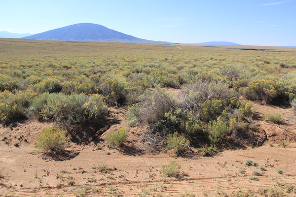 Outdoor Enthusiast's Haven: 4.47 acre in Southern Colorado