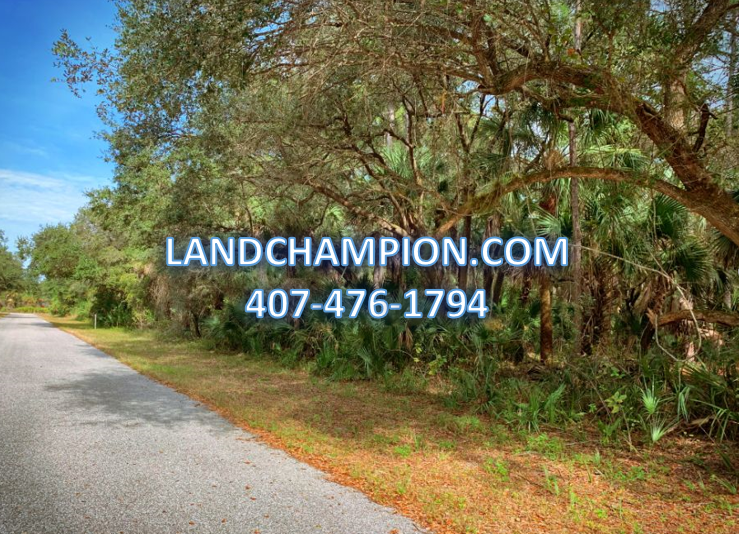 Port Charlotte Lot ** Minutes from North Port **