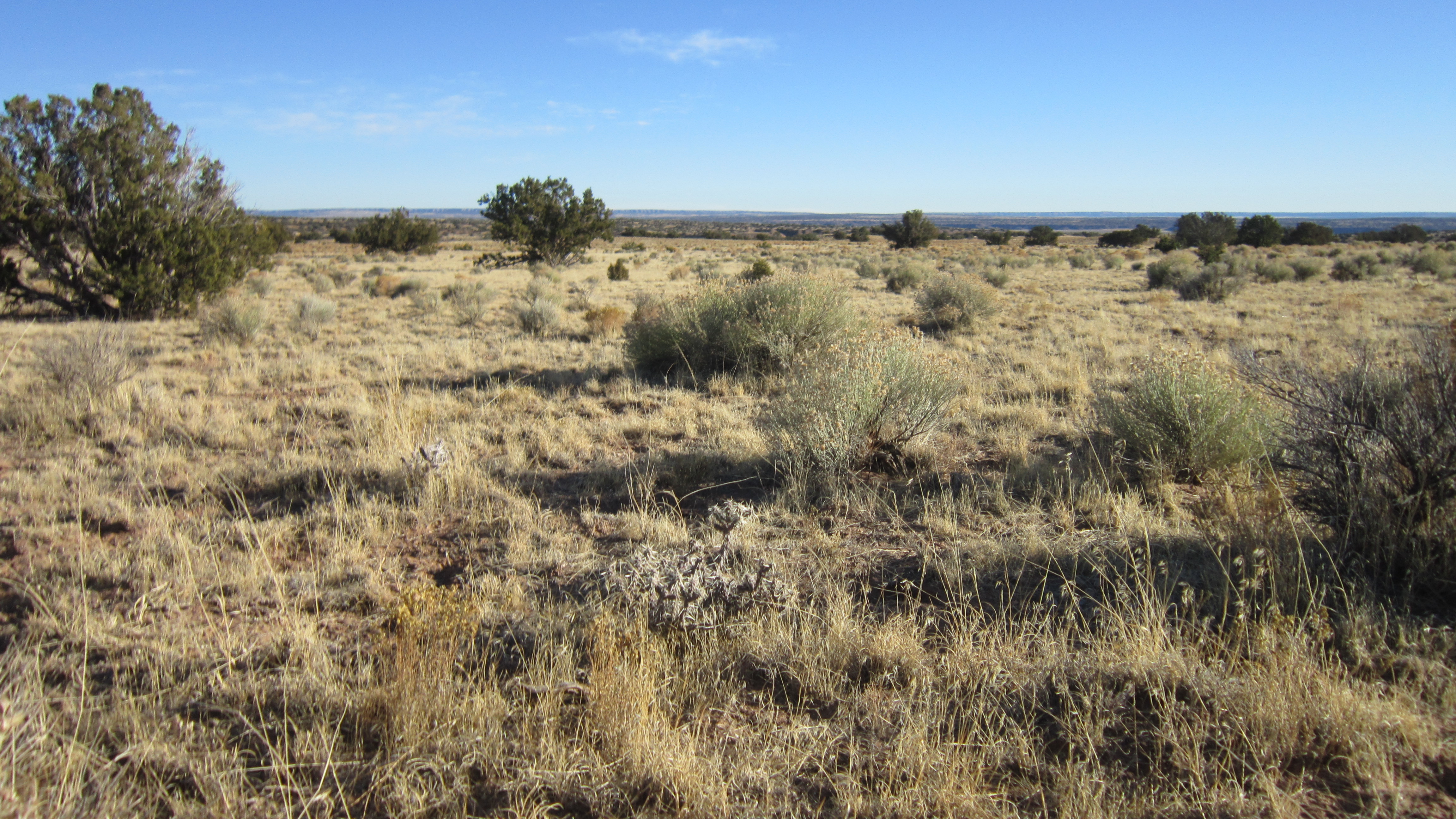 1.05 Acres available near Sanders, AZ!