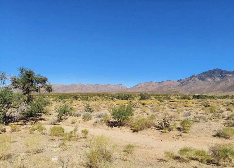 Gateway to the great outdoors! 1.16 acres just an hour from Lake Mead!