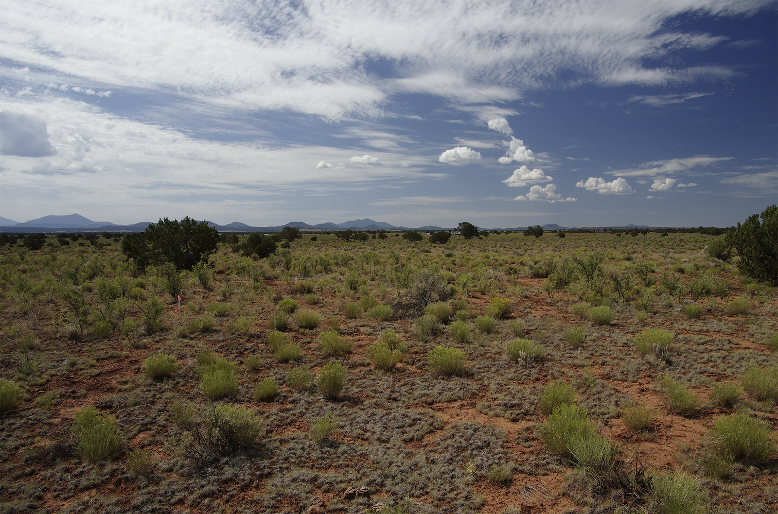 Almost 1.5 acres - Room To Grow