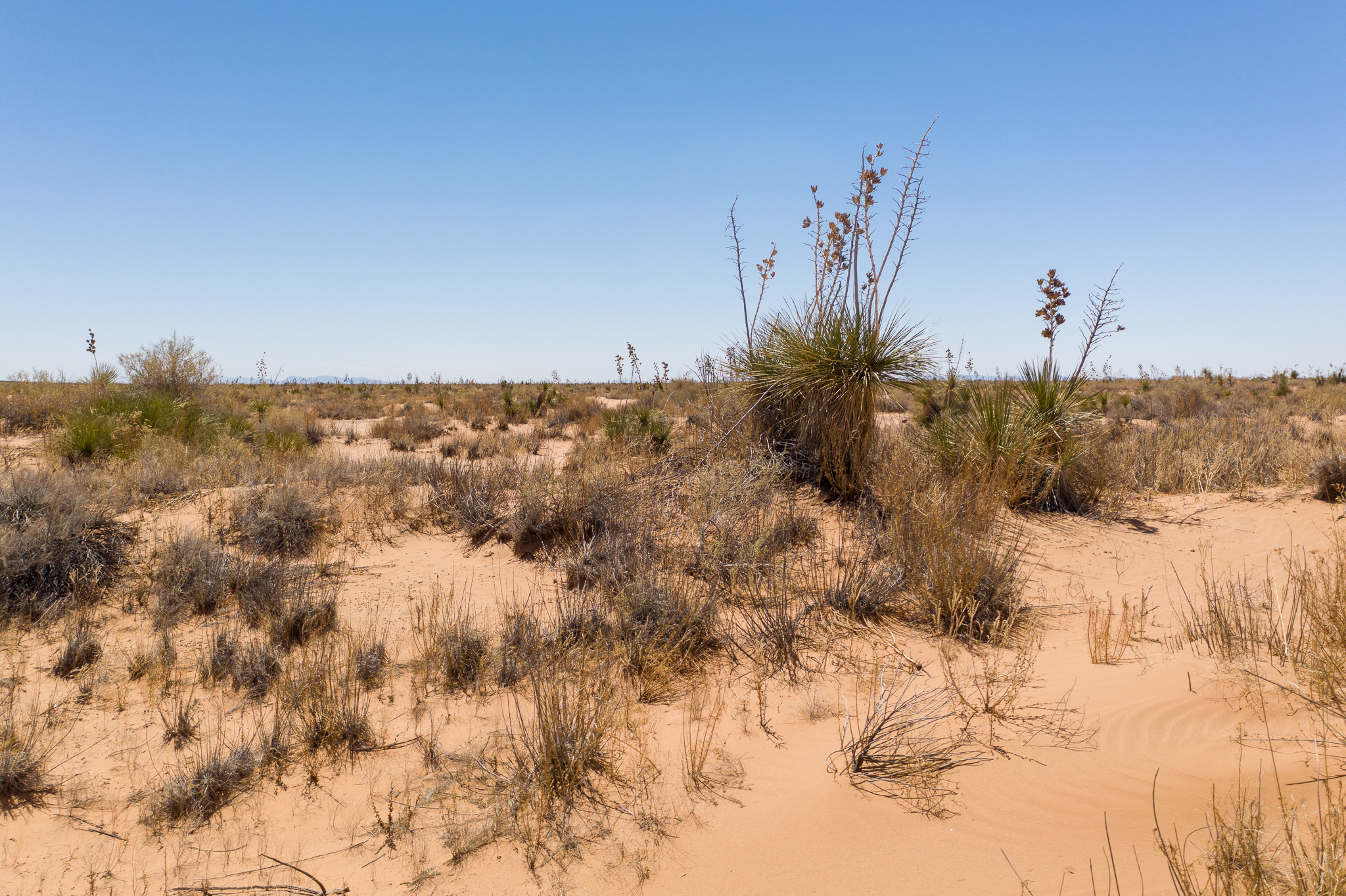 Unplug on Over 1 Acres in Scenic West Texas