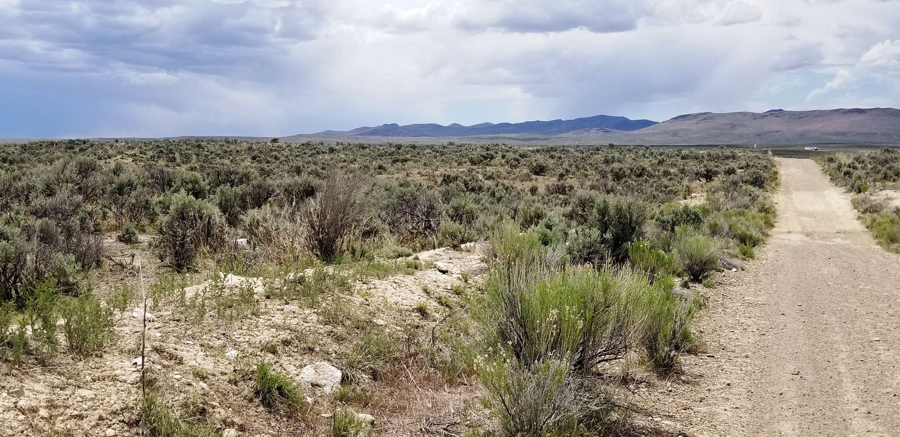 Invest on this 1.13-acre just $79 a month in Elko County NV