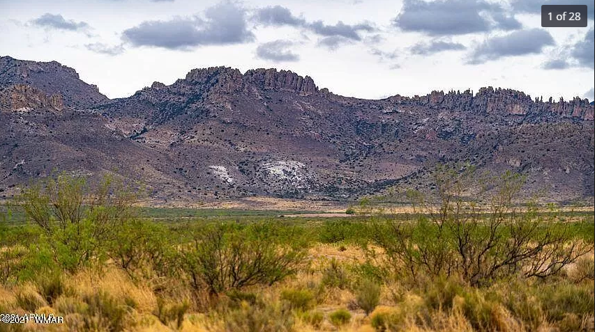 A Generous 40-Acre Rough Diamond in the Outback of Cochise County, AZ!