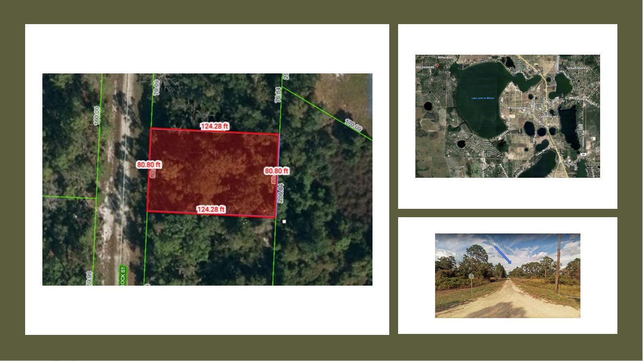 Build a Beautiful Home on a Quarter Acre in Leisure Lake, Florida! Owner Financing at $225/Month