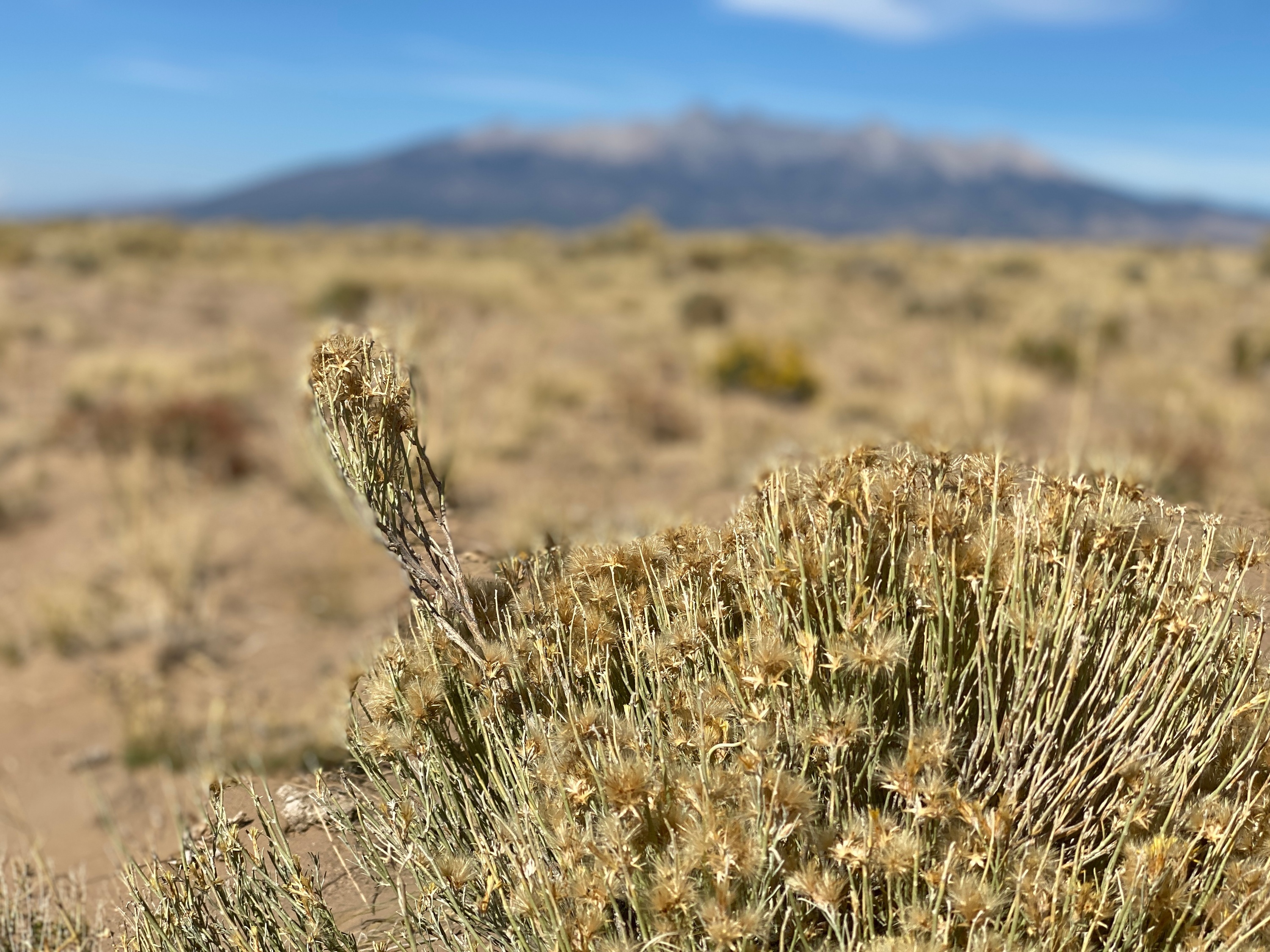 Wanna get away? 5 acres available in Colorful Colorado for only $129 a month!