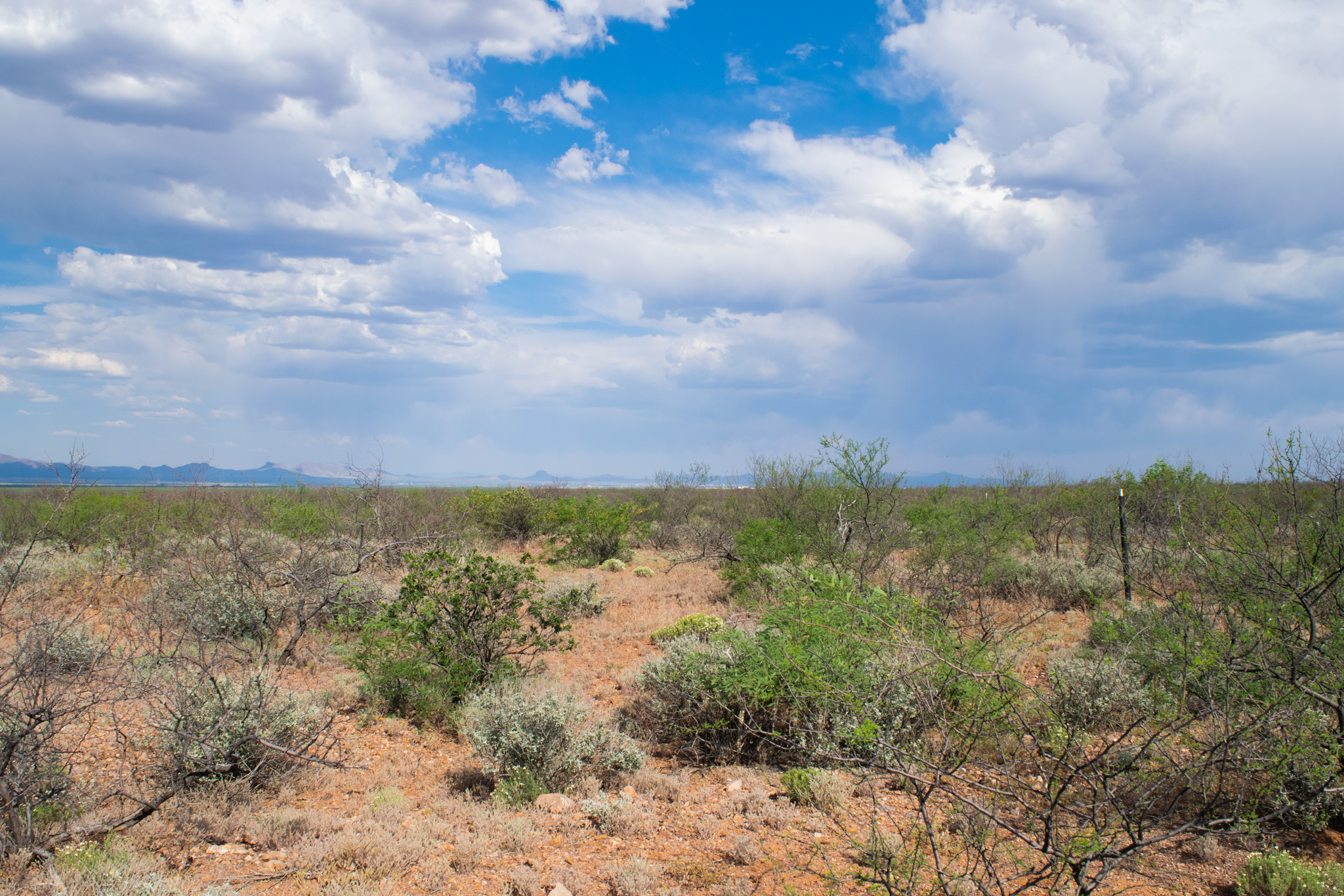 Are you A Nature Lover? Own 2.07 in Cochise County Arizona -  Owner Financing!