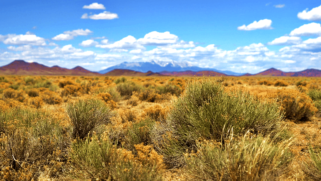 Gov spending out of control, invest in land! 5 acres in CO only $125 a month!