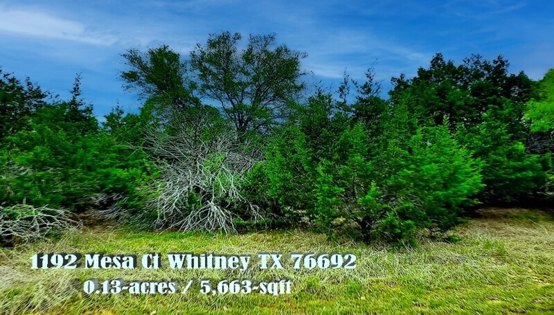 This White Bluff Property is a Gem - 1192 Mesa Ct Whitney TX 76692