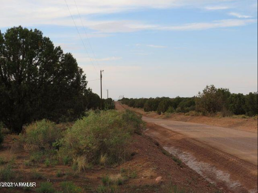 Stunning 2.26-Acre Rough Diamond in Navajo County, AZ, Now Up for Grabs