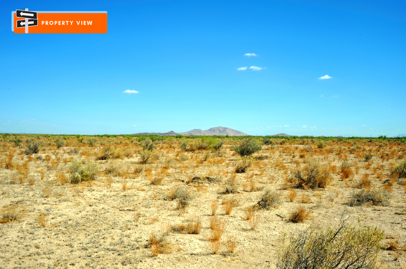 STEAL 1.5 ACRES IN NEW MEXICO FROM ME!