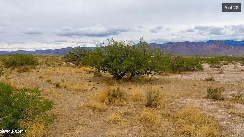 Awesome 30-Acre Lot in Cochise County, AZ! Just 17 Minutes Away From Rodeo, NM!