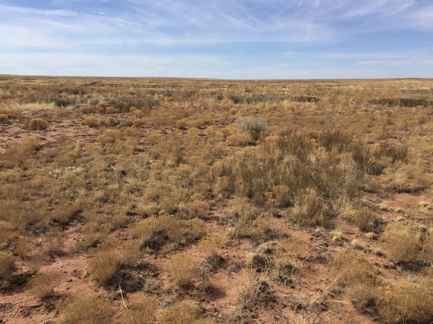 Live life on your own terms - Own 1.16 Acres in Apache, Az