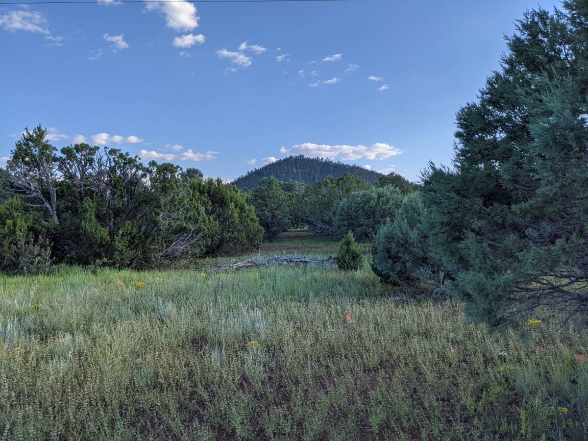 Escape to the White Mountains of Arizona! ~1 acre w/ water, electricity, internet