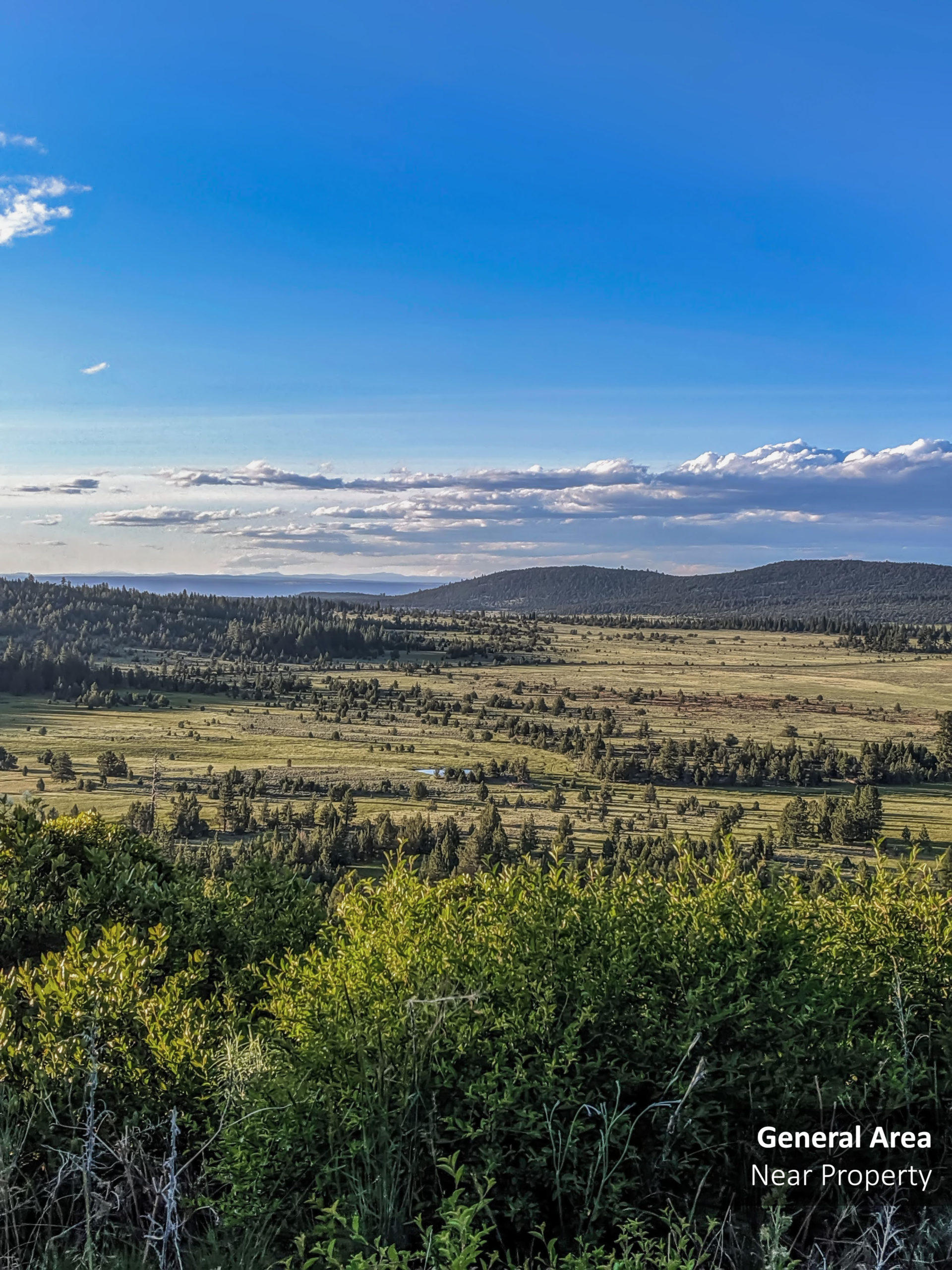 Explore This 1.80 Acre Lot in Modoc, CA!