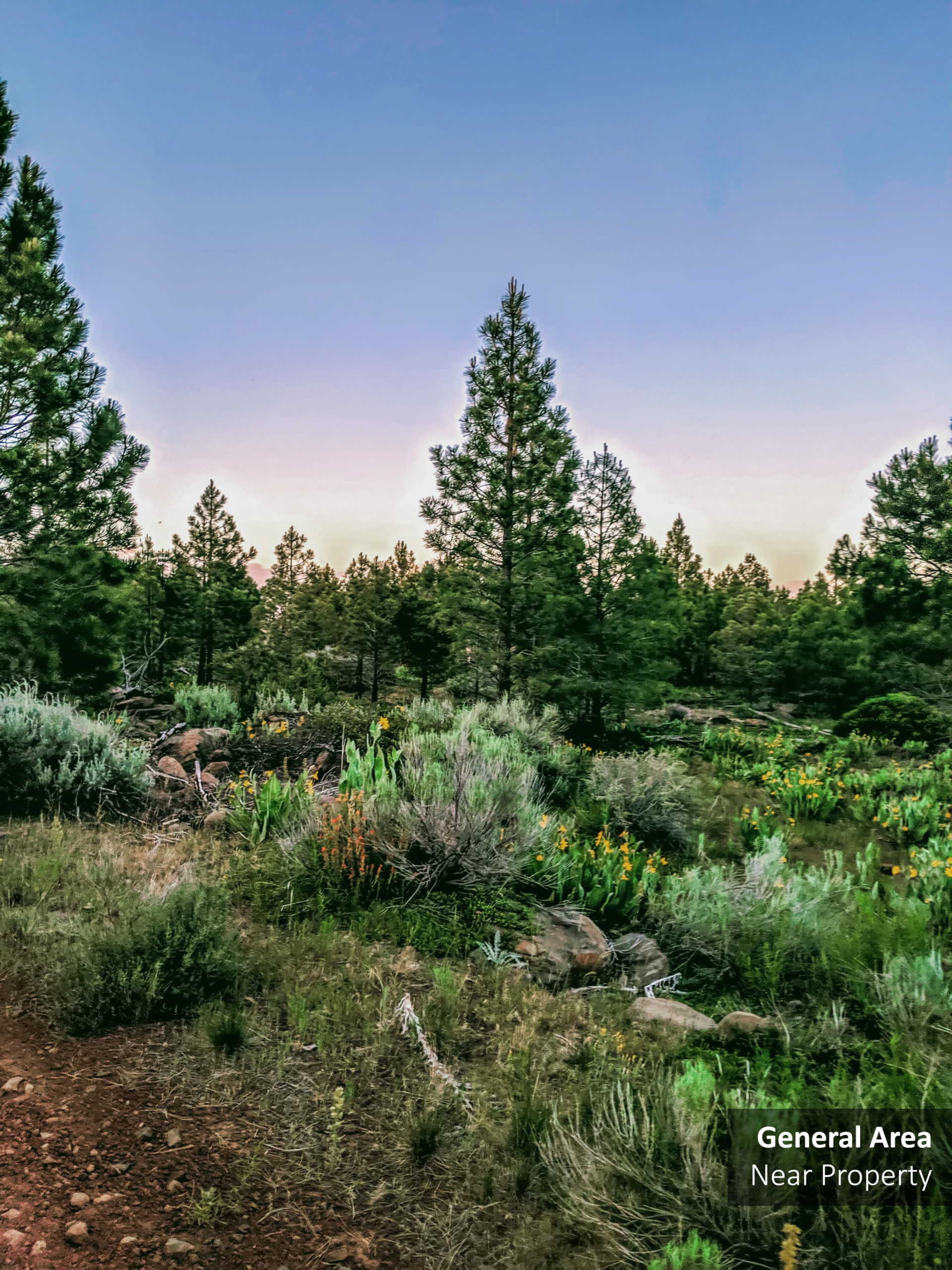 South Warner Wilderness Less than 50 Miles from this Prestigious Wooded Lot