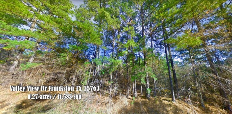 Peaceful, secluded and convenient, 0.27 Acre lot in Frankston, TX - Lot 886 & 887 Valley View Dr Frankston TX 75763