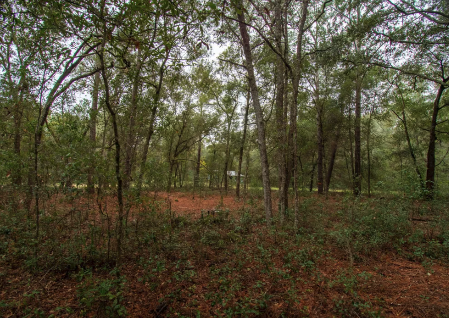 Private 1/4-Acre in Satsuma, FL!