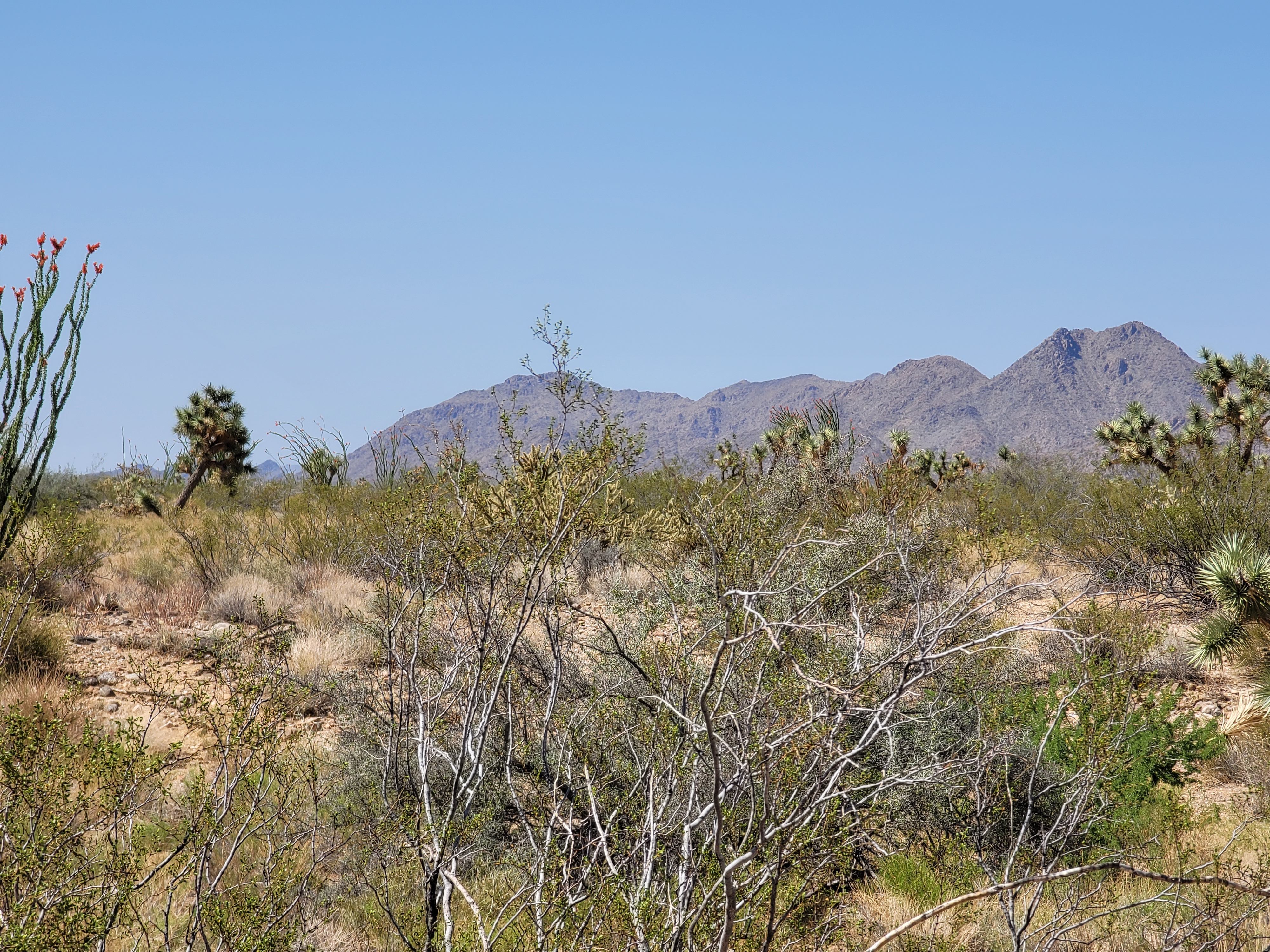 Experience deafaning silence and spectacular Arizona vistas on 1.1 acres near Kingman, AZ!