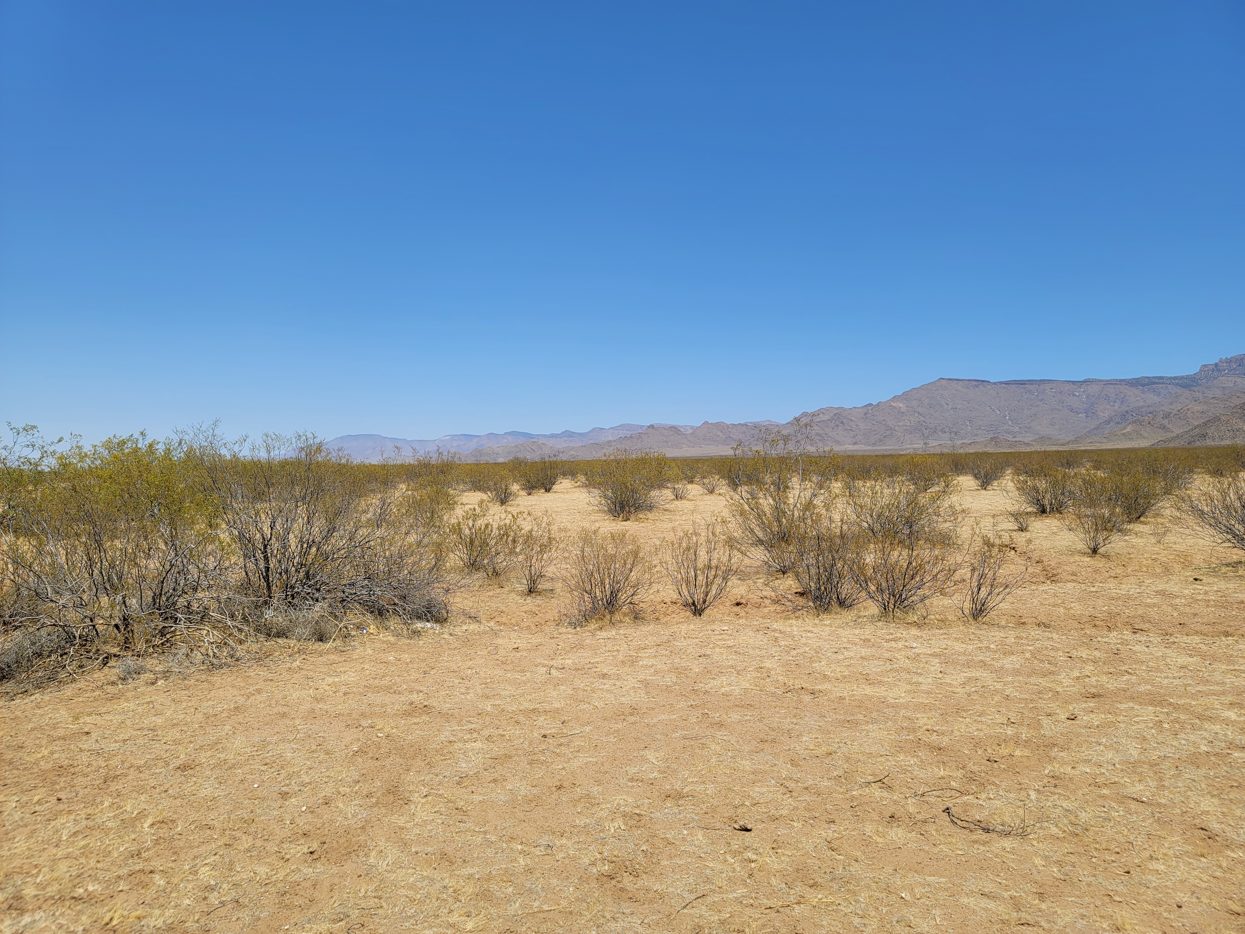 Twofer! 3 acres with direct road access and spectacular mountain views near Hackberry, AZ!