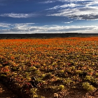 Land Investors Justin McQueen in Eden UT